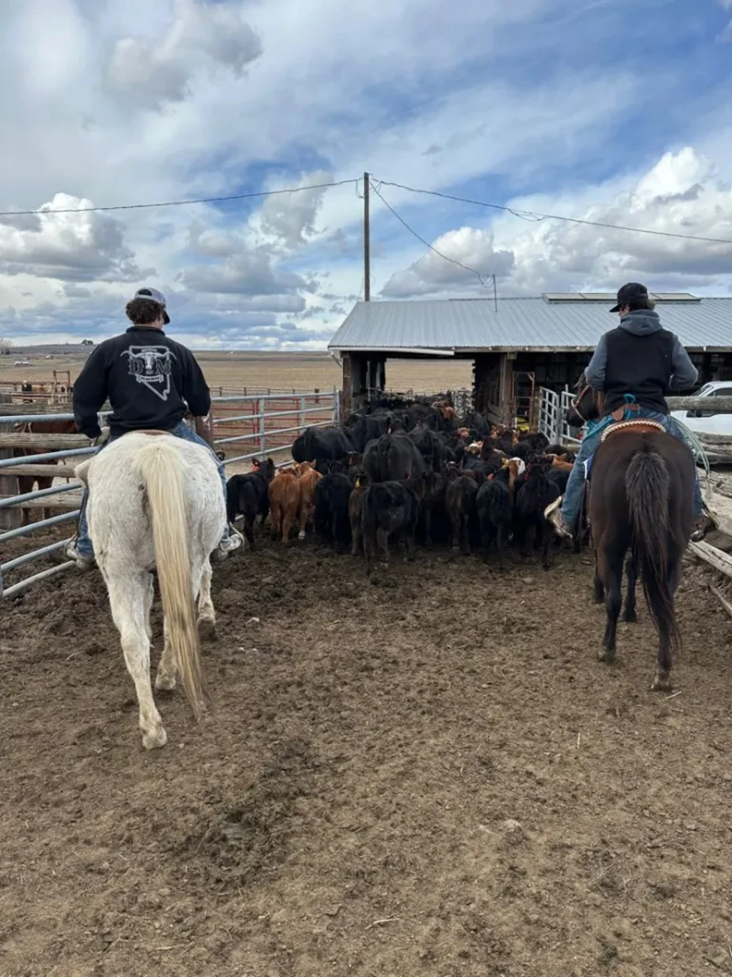 Ranch Life, Raised Right