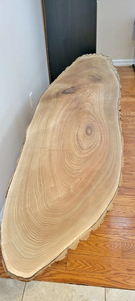 Catalpa Live Edge Oval 22″x 86″