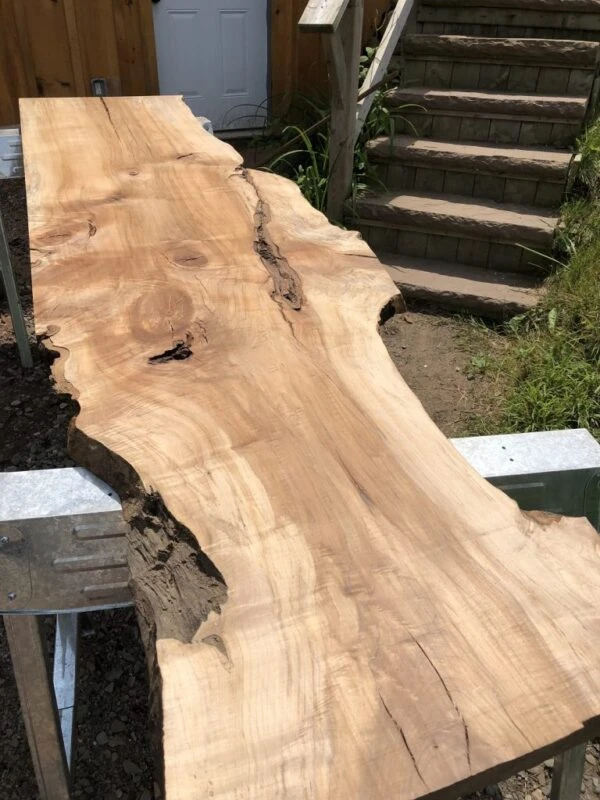 Live Edge Sugar Maple Wood Slabs