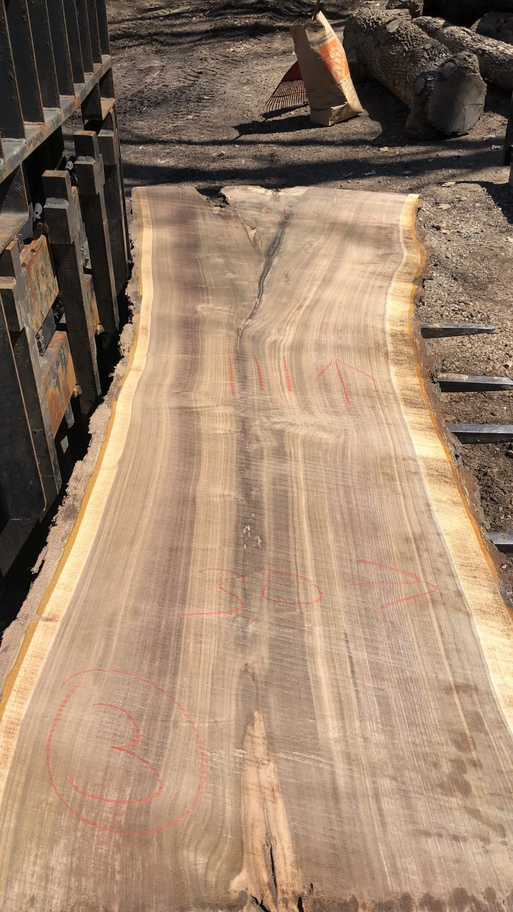 Live Edge Black Walnut Wood Slab