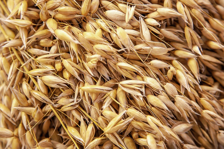 Oats