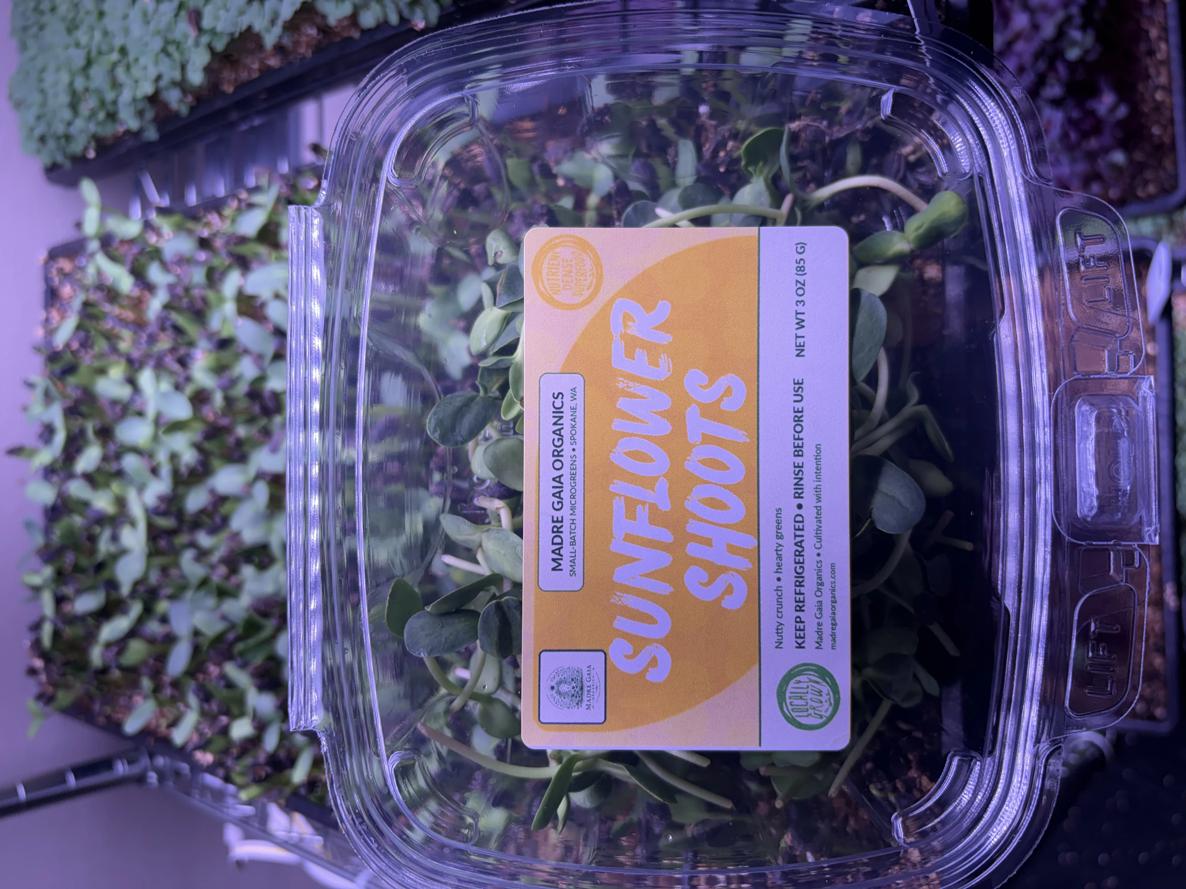 Sunflower Microgreens