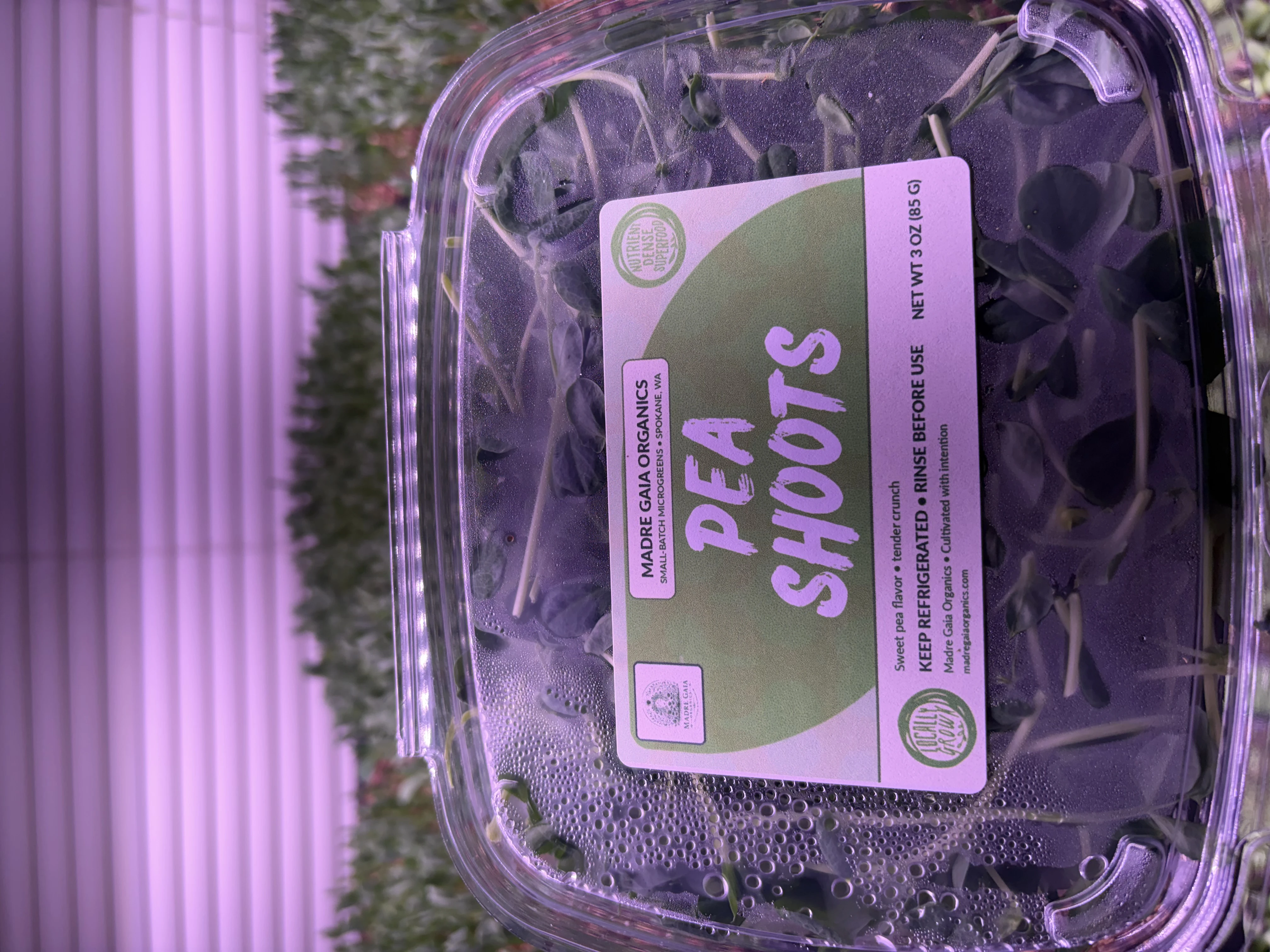 Pea Shoots