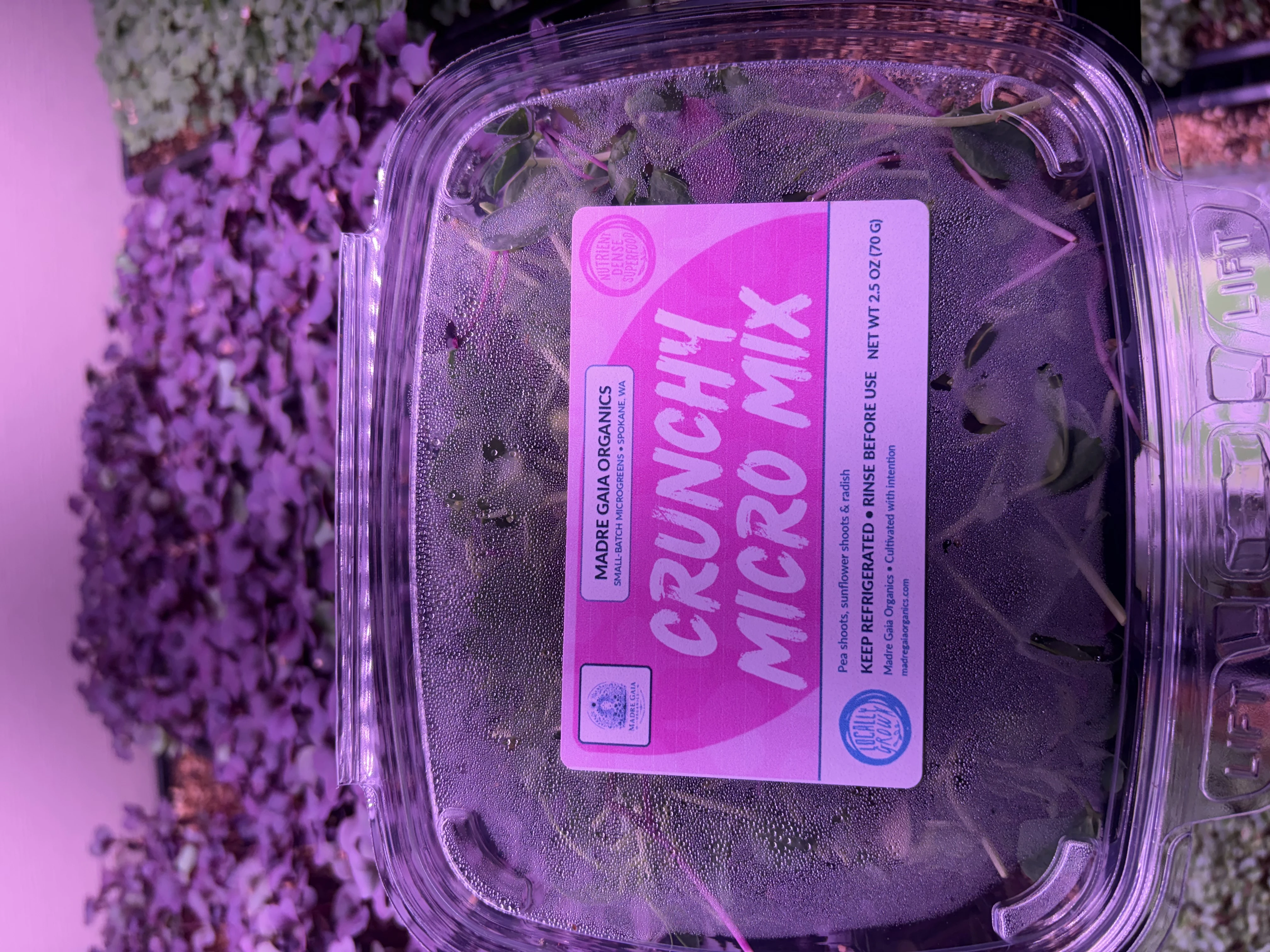 Crunchy Micro Mix